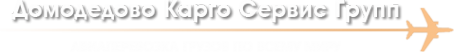 Логотип компании Домодедово Карго Сервис Групп