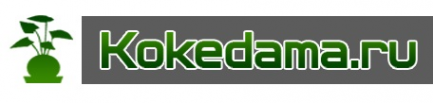 Логотип компании Интернет-магазин и студия фитодизайна КокедамаРу